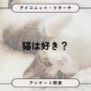 2月22日は猫の日、半数が猫好きも生まれ変わり希望なし。