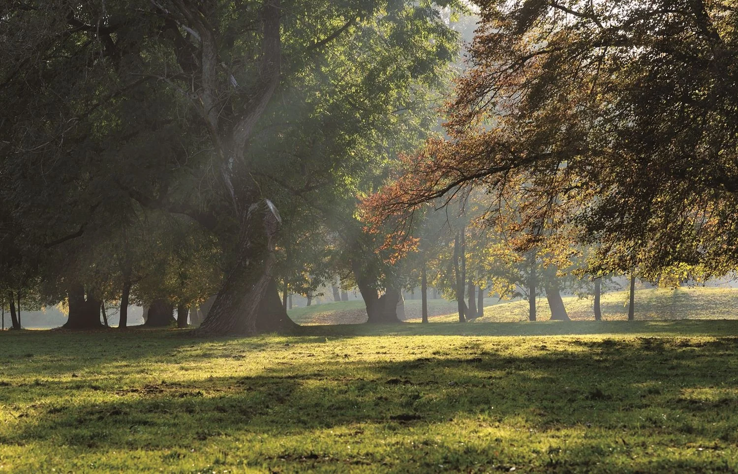 タイルブランドMaristo、新商品12シリーズを発表 - ホテルやオフィスの調和空間を提案