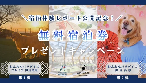 【休日いぬ部×アイコニア・ホスピタリティ】宿泊体験レポート公開記念の無料宿泊キャンペーン開催